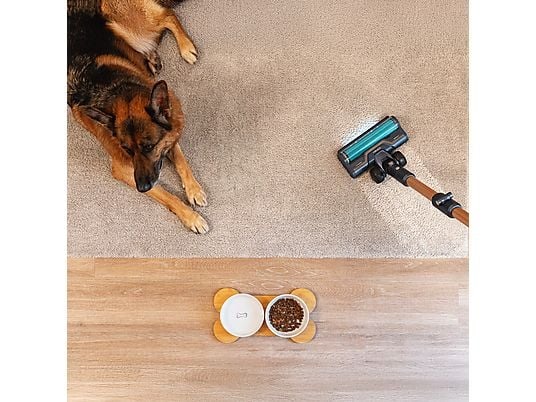 Aspirador escoba - Cecotec RX70 AquaPet Flex, 780 W, 100 min Autonomía, Cepillo HairLess XL, Sin bolsa, Negro/Dorado - Imagen 8